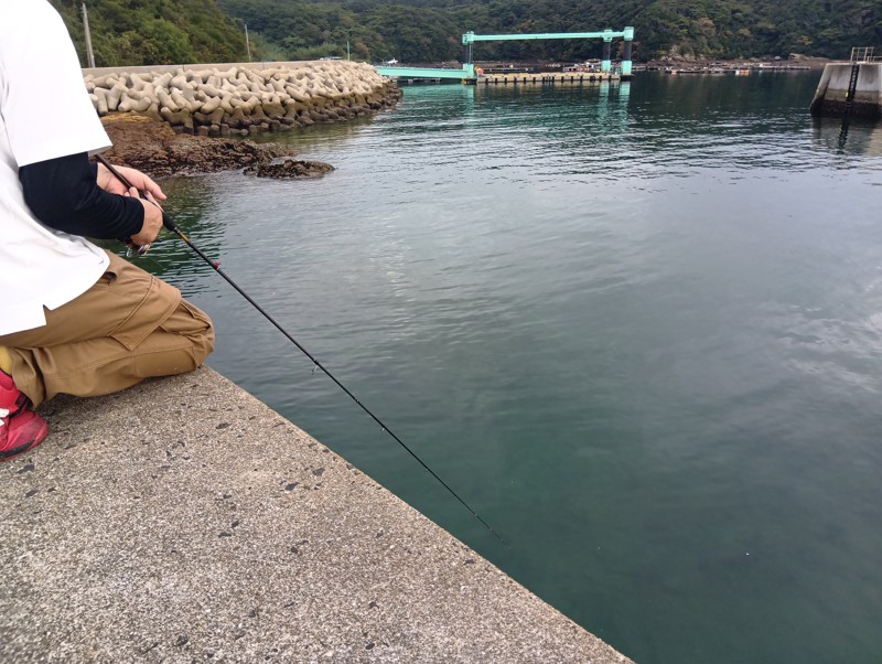 ゆらり釣り