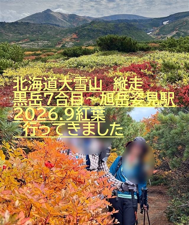 北海道大雪山紅葉