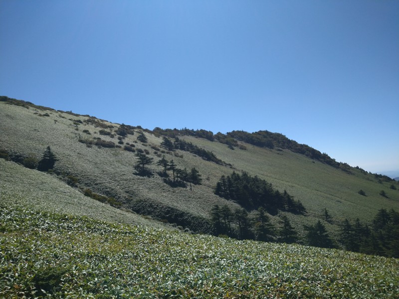 里山ゆる登山