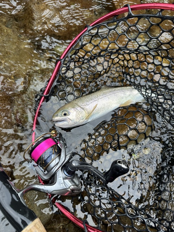 〜社会人のゆるゆる釣り仲間〜🎣🙆‍♂️