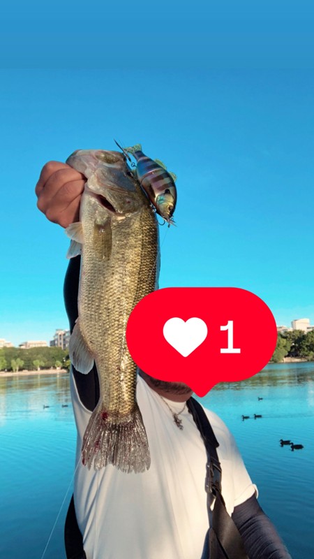 〜社会人のゆるゆる釣り仲間〜🎣🙆‍♂️