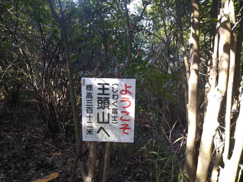 里山ゆる登山