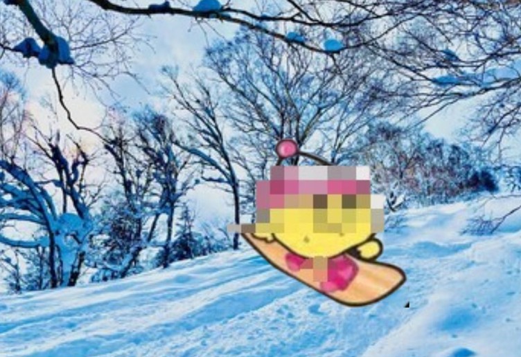 bomer ⛄ trip