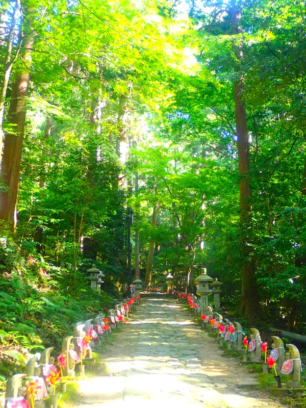 第61弾は湖東Touring