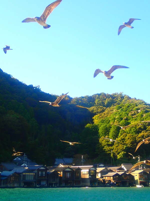 舞鶴・宮津・伊根ride