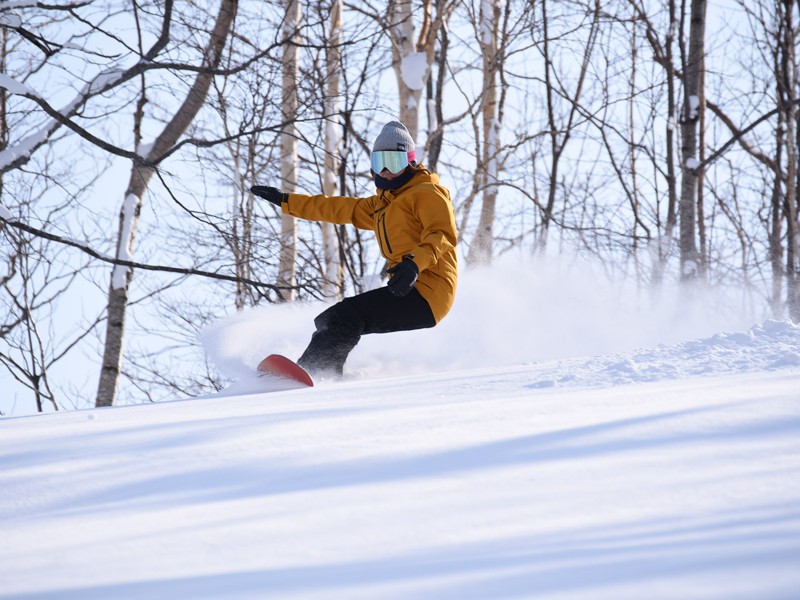 powder ⛄ trip