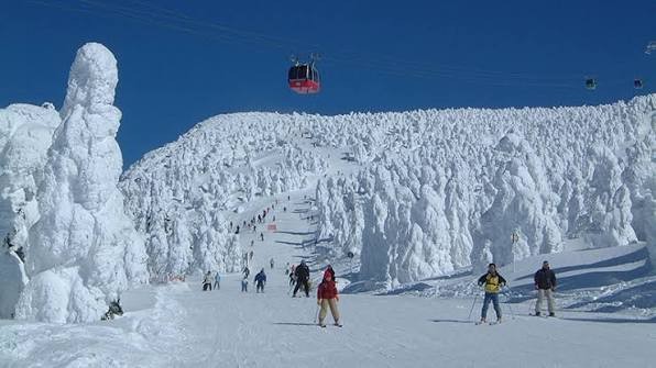 powder ⛄ trip