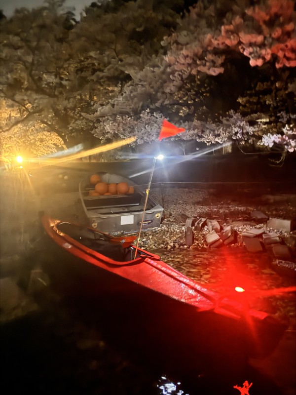 春は夜桜カヤック
