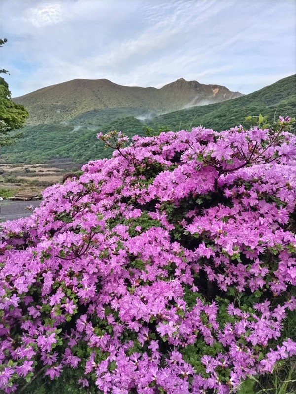 お花見登山で全国へ山旅