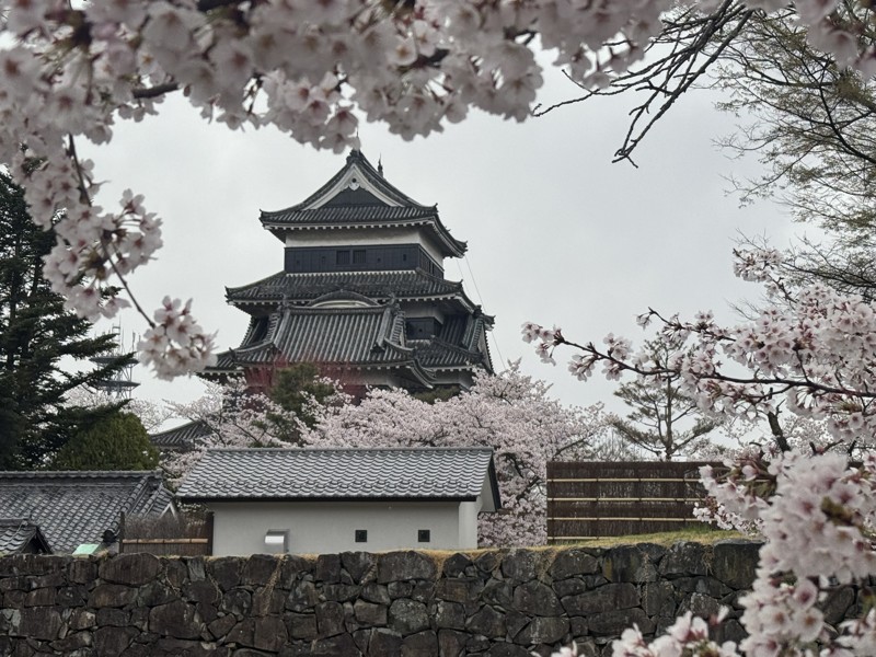 山の帰りに古城見学
