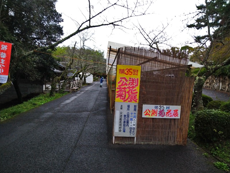 里山ゆる登山