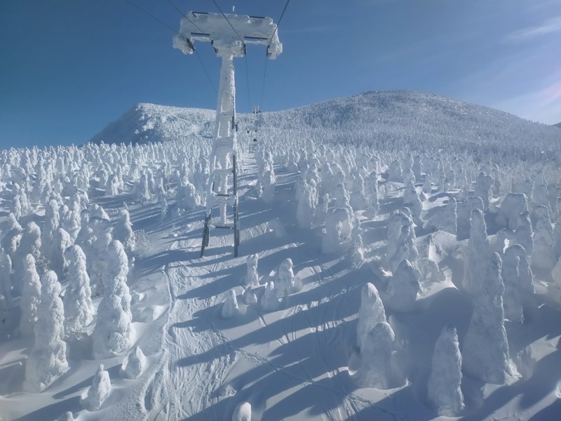 Enjoy Snow(仮)