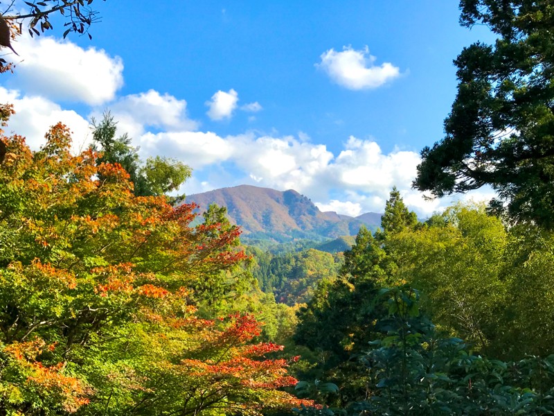 神奈川山登り