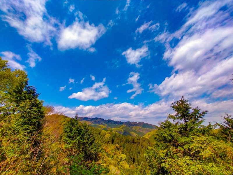 東京登山サークル