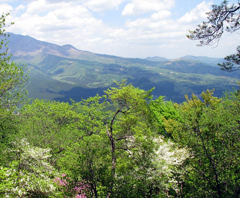 新潟登山チーム