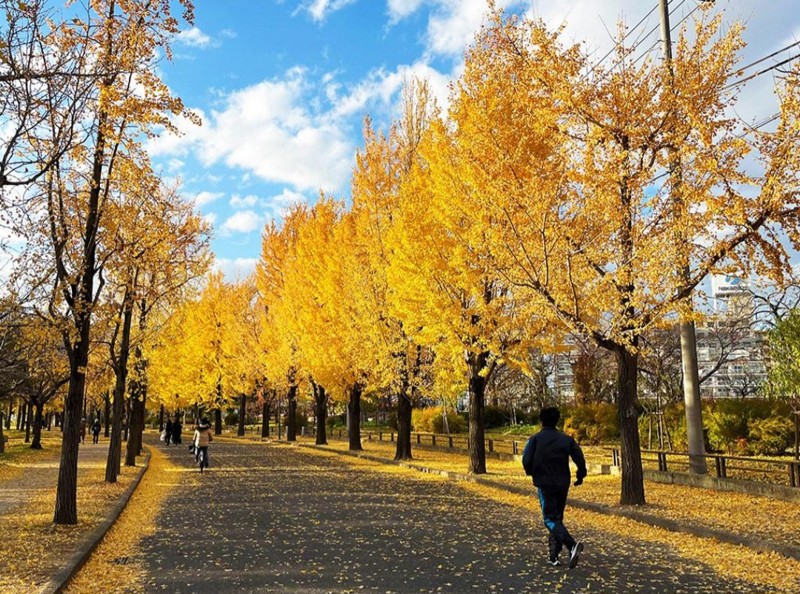 おしゃべりウォーキング仲間募集！🚶
