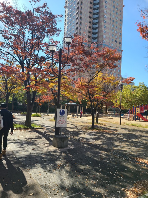 大阪の街を歩いて楽しもう！🌇