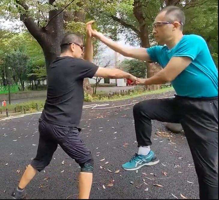 通背拳　葉底蔵花手