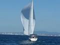 Laine Yacht