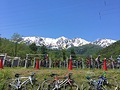 緑のAACR2018白馬エイド