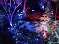 かみさまがすまう森・御船山楽園