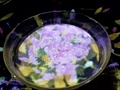 かみさまがすまう森・御船山楽園