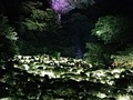 かみさまがすまう森・御船山楽園