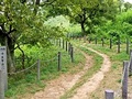 吹上峠登山口