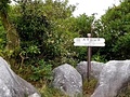 大平山山頂