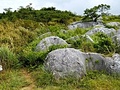四方台・茶ヶ床園地分岐