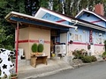 ついんスター