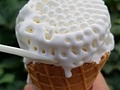 芸術ソフト
