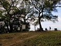 立花山山頂