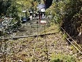 羅漢寺リフト下り