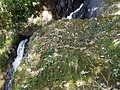 布引の滝(上)不動の滝(下)