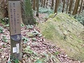 ひづめ石