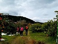 針茂果樹園
