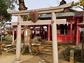 恋木神社鳥居