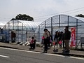 プーさんのいちご園