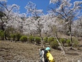 190413倉戸山