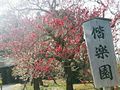水戸偕楽園