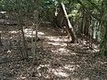 笠置山登山道