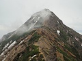 190606-08 八ヶ岳
