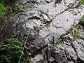 190630 三ノ塔+懸垂岩