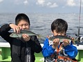 東京湾 アジ釣り