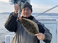 東京湾 ヒラメ